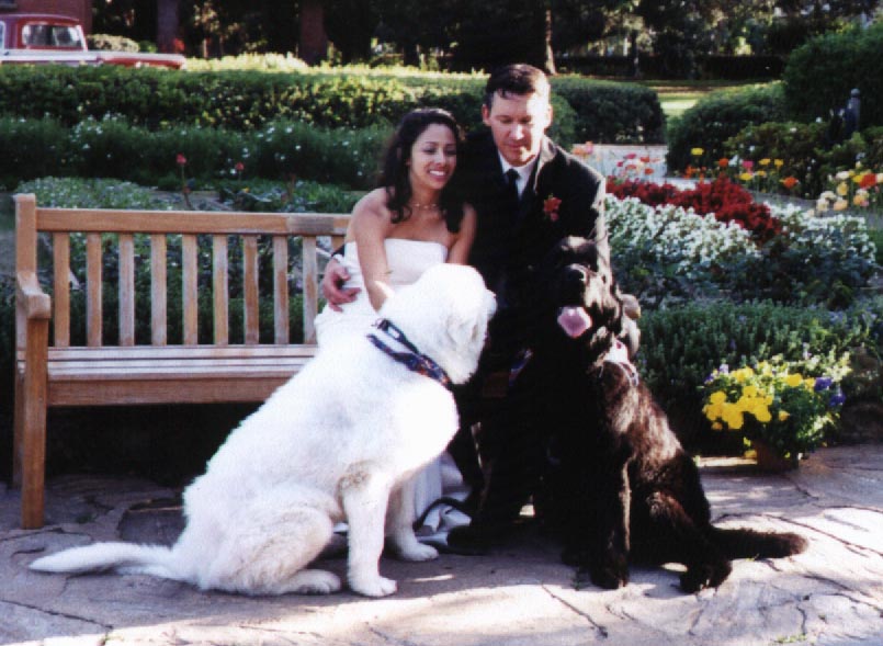 wedding_2.jpg