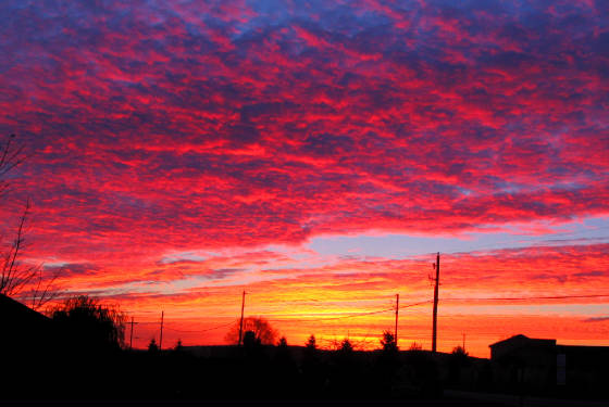sunrise_11-7-04.jpg